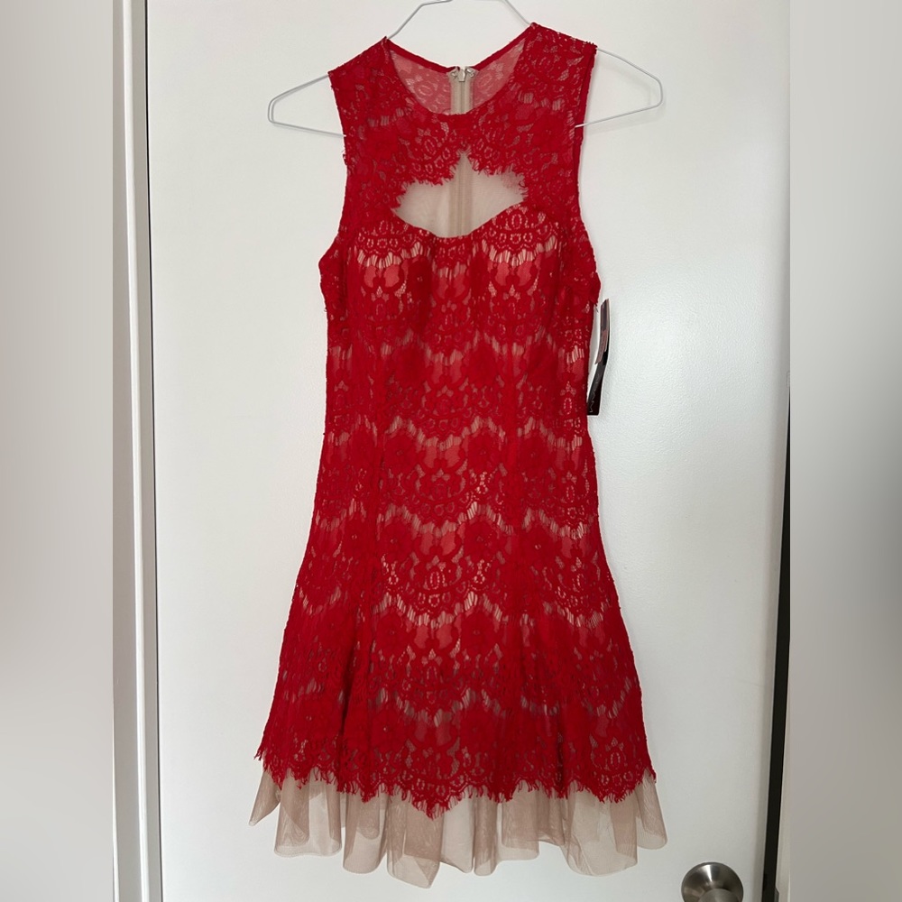 Betsy & Adam Red Lace and Mesh Dress